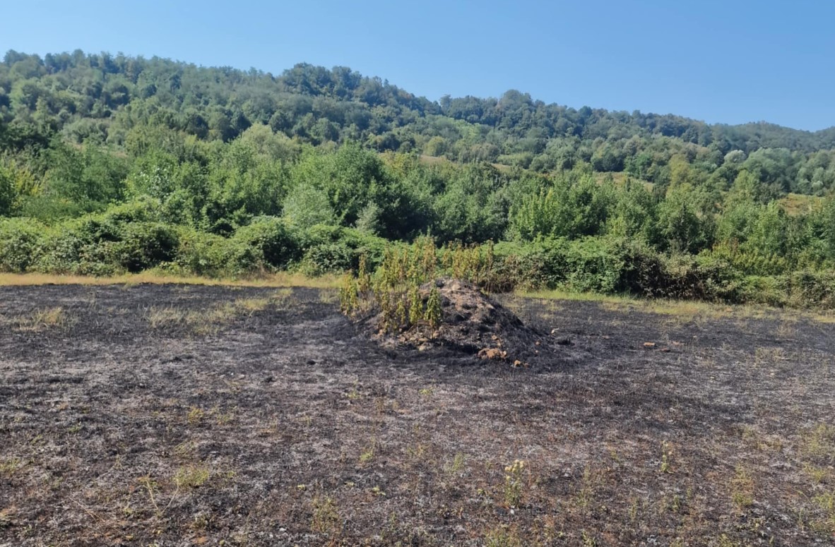 U protekla 24 sata vatrogasci u TK gasili 15 požara: Najčešće gori nisko rastinje