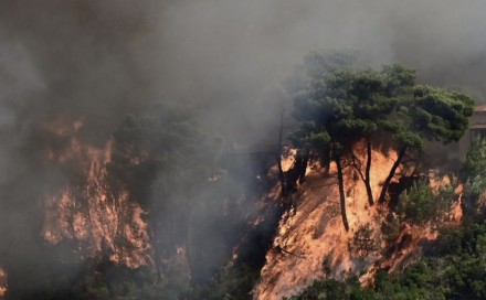 Plamen požara kod Atine premašio 25 metara visine: Oštećene kuće, stanovništvu naređena evakuacija