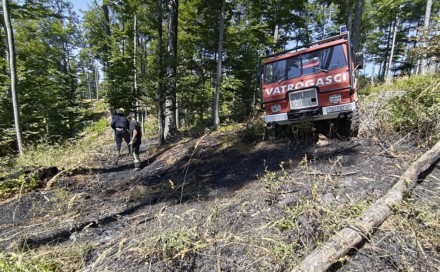 Požarišta u Tučepima i Vrsinama i dalje pod nadzorom vatrogasaca