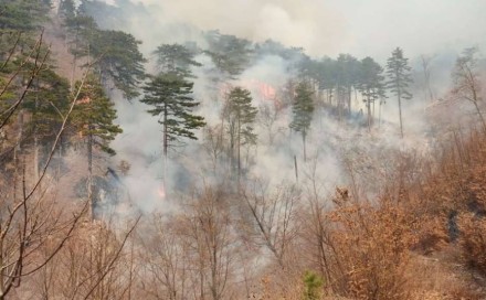 U Hercegovini i dalje gori, aktivna dva požara