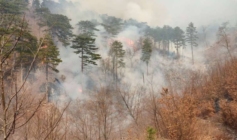 U Hercegovini i dalje gori, aktivna dva požara