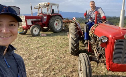 Uspješna bh. povratnička priča: Prvi plodovi rada na plantaži lješnjaka mlade poduzetnice