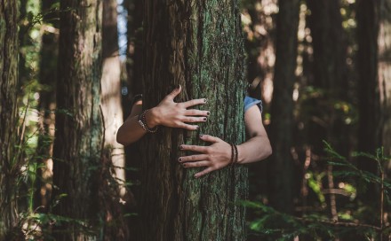 Dendroterapija: Kako grljenje stabala poboljšava zdravlje?